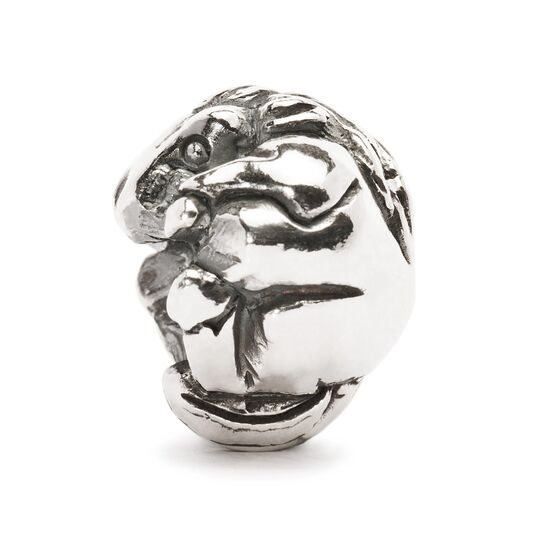Charm Trollbeads in Argento TAGBE-40026 - TAGBE-40026
